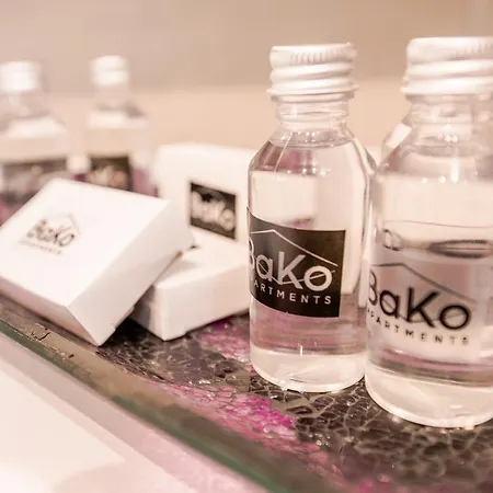Bako Apartament Delux Apartment